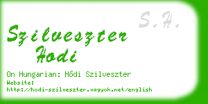 szilveszter hodi business card