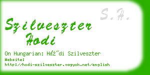 szilveszter hodi business card